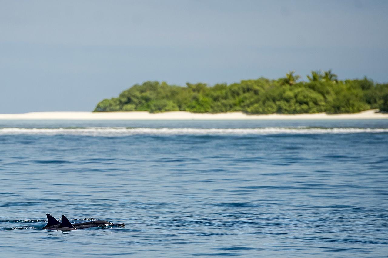 Detour Beach View Hangnaameedhoo ภายนอก รูปภาพ