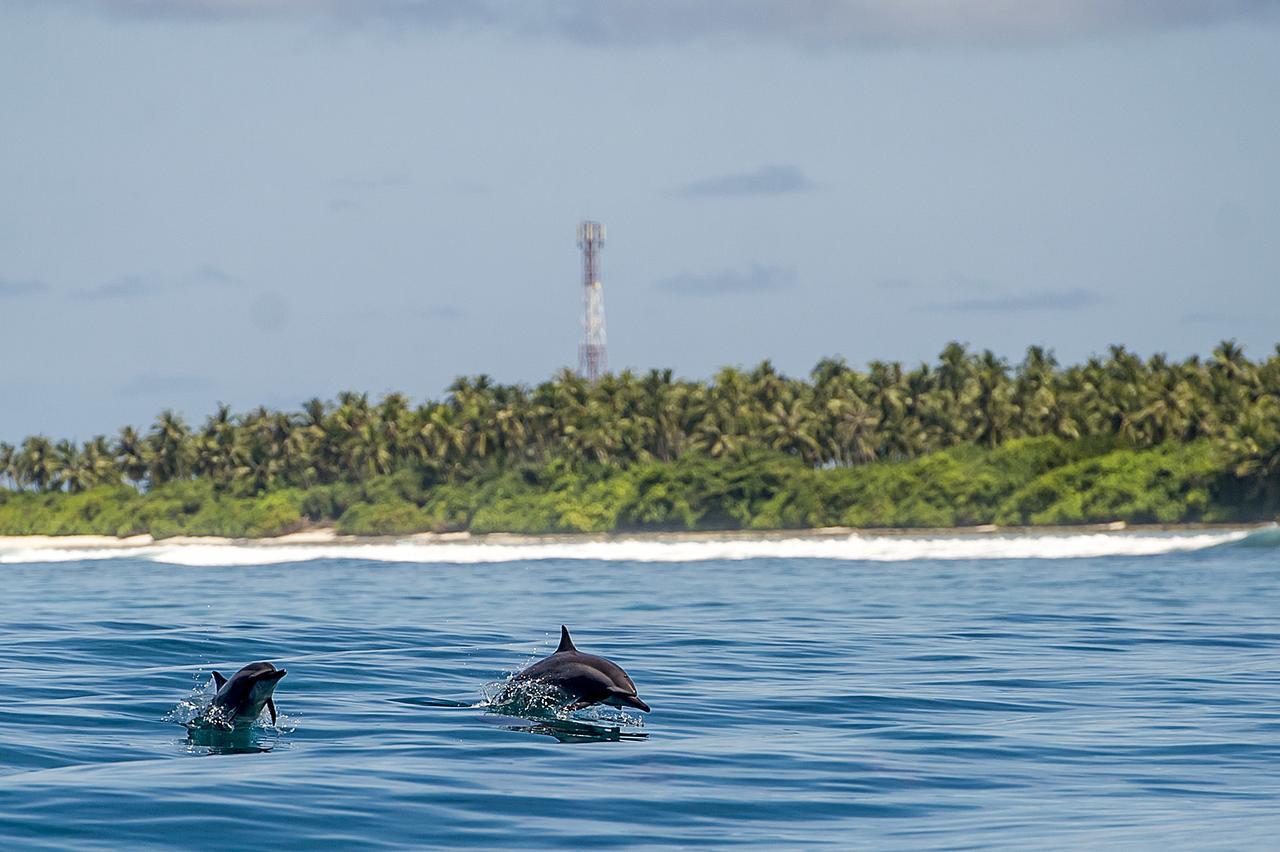 Detour Beach View Hangnaameedhoo ภายนอก รูปภาพ